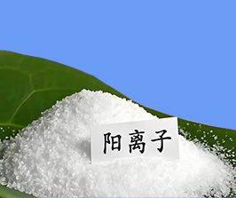 �۱�ϩ����